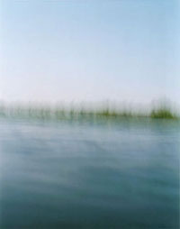 �ē��\���ʐ^�W�uwhat falls�v