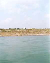 �ē��\���ʐ^�W�uwhat falls�v