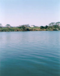 �ē��\���ʐ^�W�uwhat falls�v