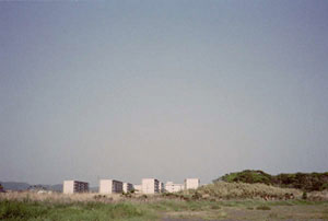 �ē��\���ʐ^�W�uwhat falls/lost in dreams�v