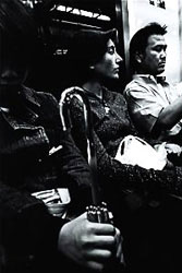 ����W�ʐ^�W�umetrograph�v