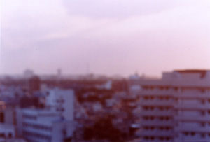 �ē��\���ʐ^�W�u�c�ނ܂��v