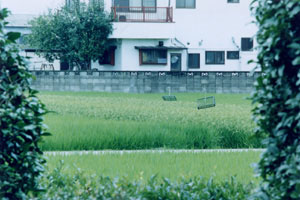 �ē��\���ʐ^�W�u�c�ނ܂��v