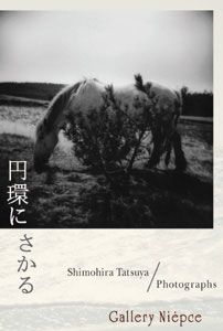 ��������ʐ^�W�u�~�ɂ�����v