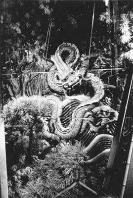 �����B�F�ʐ^�W�u�ً��[ EXOTICA�v