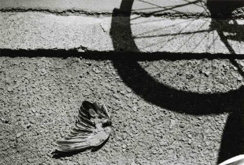 �ΐ�l�K�j�ʐ^�W�uDEADLOCKED�v