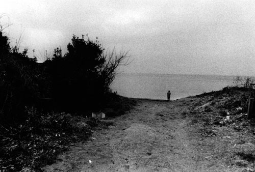 �ߓ��ЂƂݎʐ^�W�u�݂������v