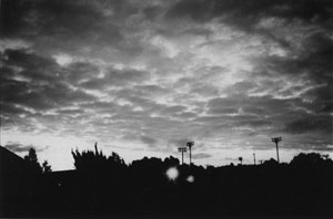 ���C���ʐ^�W�u���S�́v