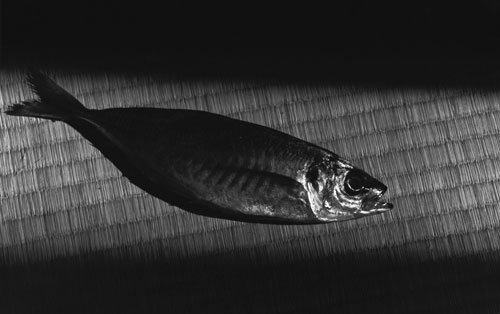 �ʐ^�W�u�킽���̕����v