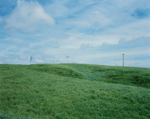 �c糜A��ʐ^�W�u�S���̕��i�v