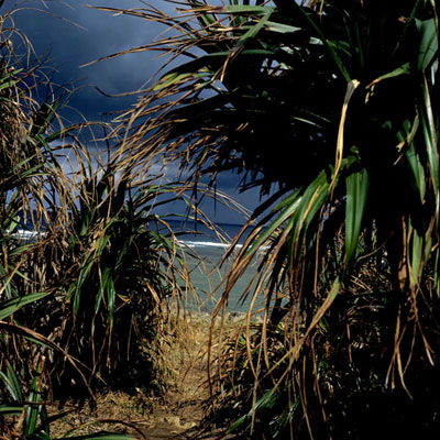 ����N���ʐ^�W�uOkinawan Color�v