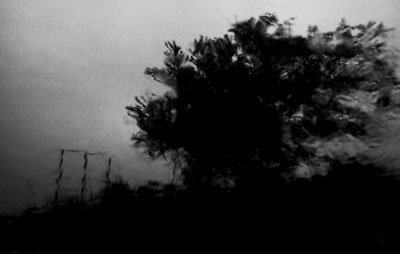 ��~�q�E�ɓ����� �ʐ^�W�wfall�x