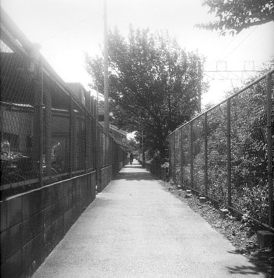 �ΐ�h��ʐ^�W�w������ʁy�B���z�x