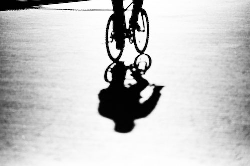 �≺�r�Y�ʐ^�W�wSynchronicity�x