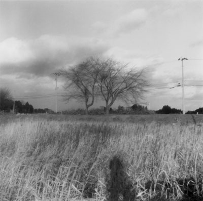 �ΐ�h��ʐ^�W�wCarillon~���O�x