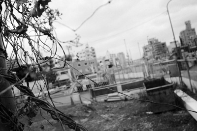 �V�[�Ďʐ^�W�w����3�x