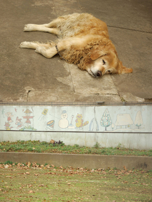 �����z�q�ʐ^�W�w���E�p�Y���x