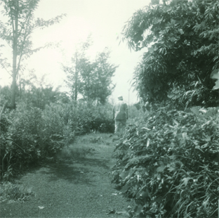 �ΐ�h��ʐ^�W�w�T���@�D�N�T���o�D�V�[���@�x