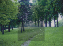 �|�������ʐ^�W�w�L���̃~�J�^�x